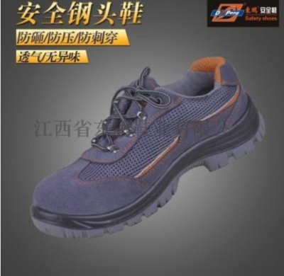 防护用品 防砸鞋DP 9902